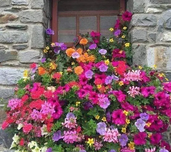 Maison d'hôtes Da Annarè