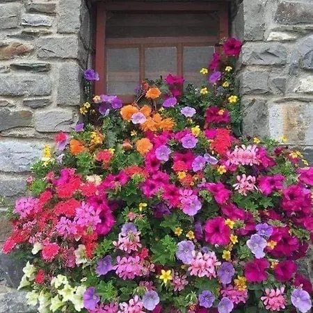 Guest house Da Annare